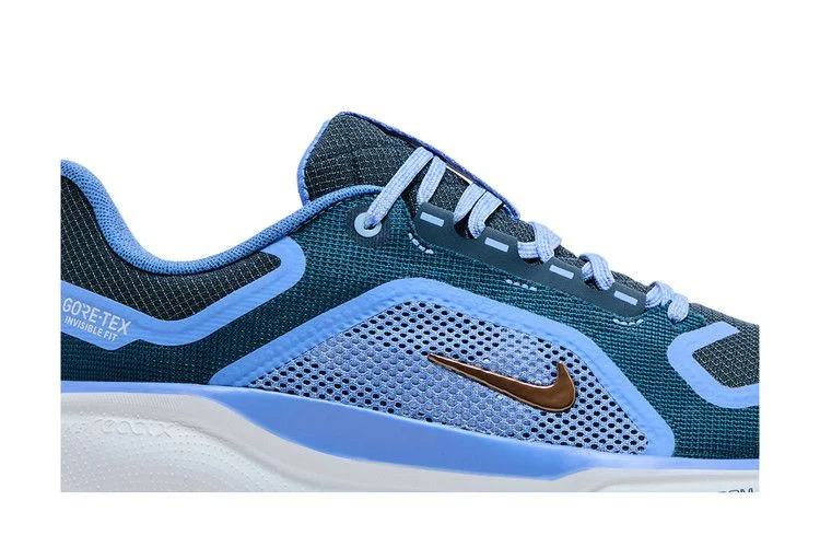 Krossovki-Nike-Wmns-Air-Zoom-Pegasus-41-GORE-TEX-Cobalt-Bliss-1