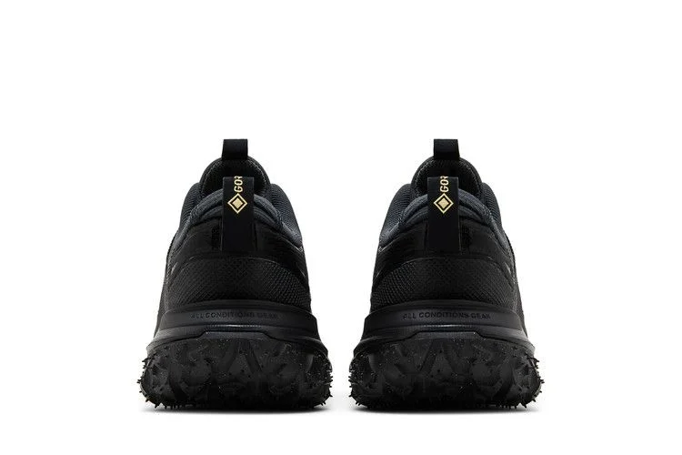 Кроссовки Nike ACG Mountain Fly 2 Low GORE-TEX 'Dark Smoke Grey'