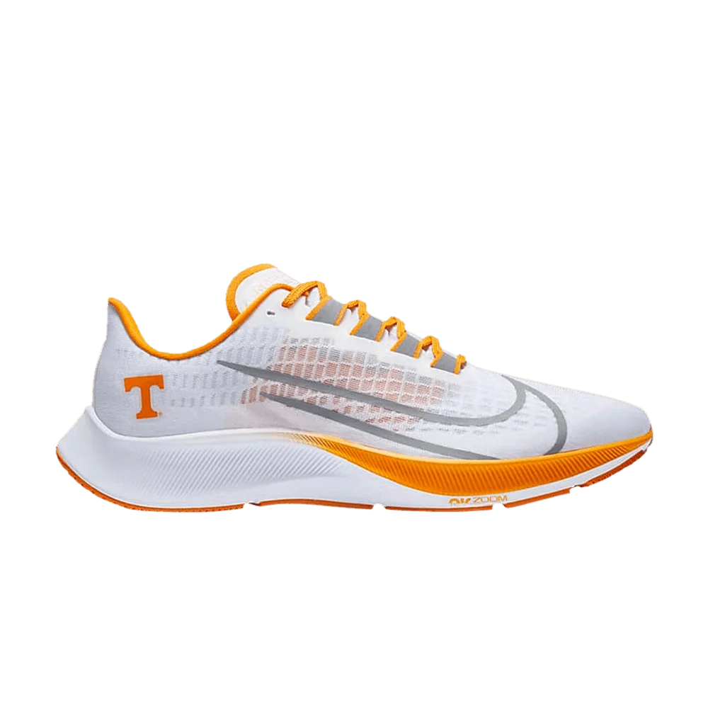 Krossovki-Nike-Air-Zoom-Pegasus-37-Tennessee