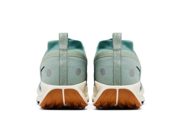 Кроссовки Nike Pegasus Trail 5 GORE-TEX 'Jade Horizon'