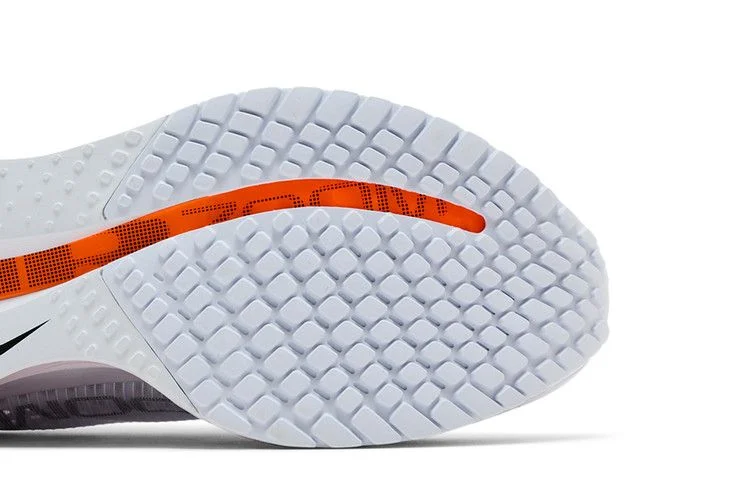 Кроссовки Nike Wmns Pegasus Premium 'Airscape'