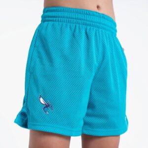 Nike-Charlotte-Hornets-Dri-Fit-Youth-NBA-Shorts-1-300x300
