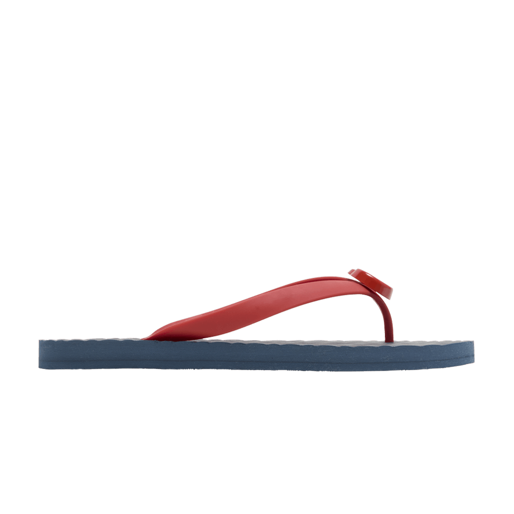 Сандалии Gucci Thong Sandal 'Blue Chevron Red Resin'
