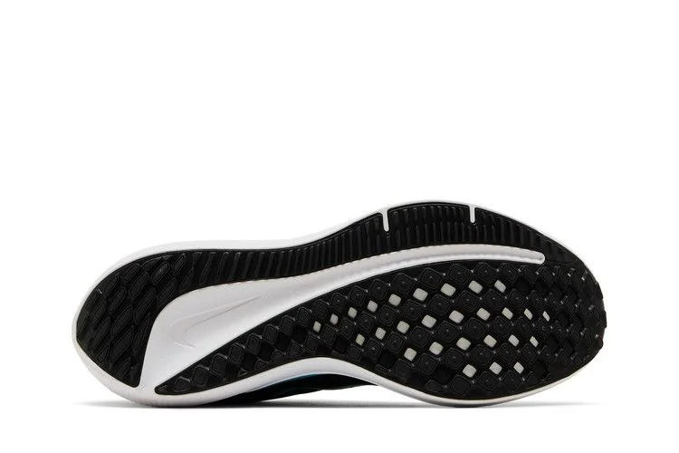 Кроссовки Nike Wmns Winflo 10 'Black Baltic Blue'