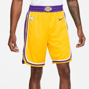 Nike-Los-Angeles-Lakers-2024-Icon-Edition-Swingman-NBA-Shorts-1-300x300