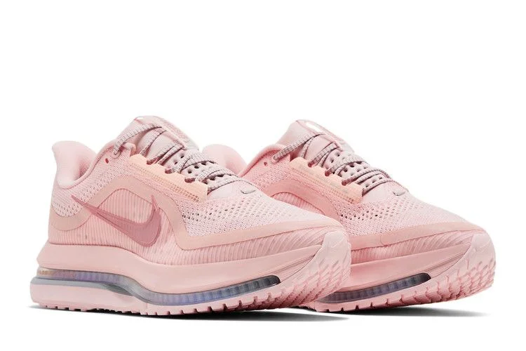 Krossovki-Nike-Wmns-Pegasus-Premium-Atmosphere-7