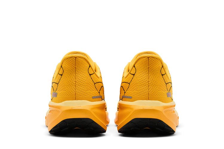Кроссовки Nike Air Zoom Pegasus 41 LV8 'Modern Mayfly Pack'