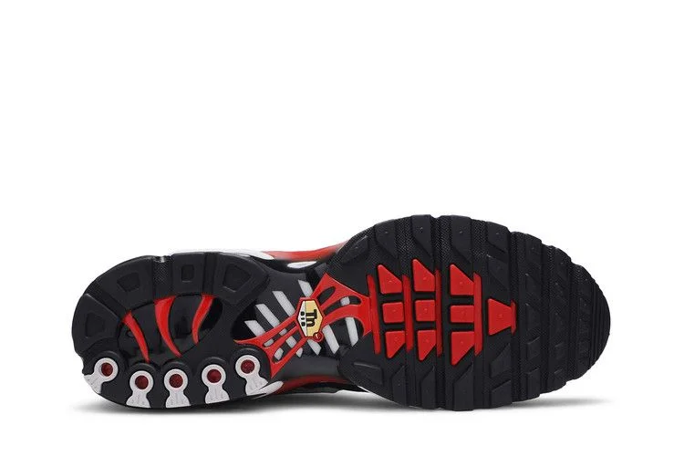 Кроссовки Nike Air Max Plus 'Script Swoosh'