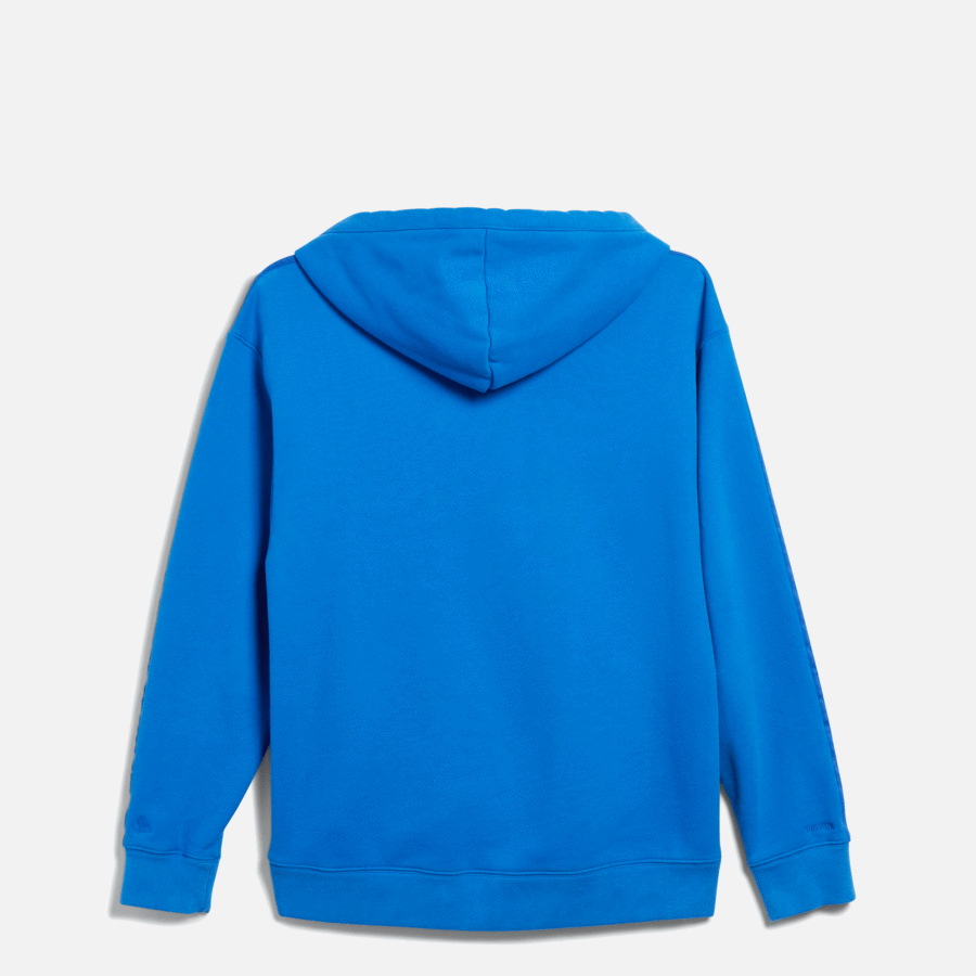 Худи adidas Ivy Park Terry Hoodie (All Gender) Glory Blue