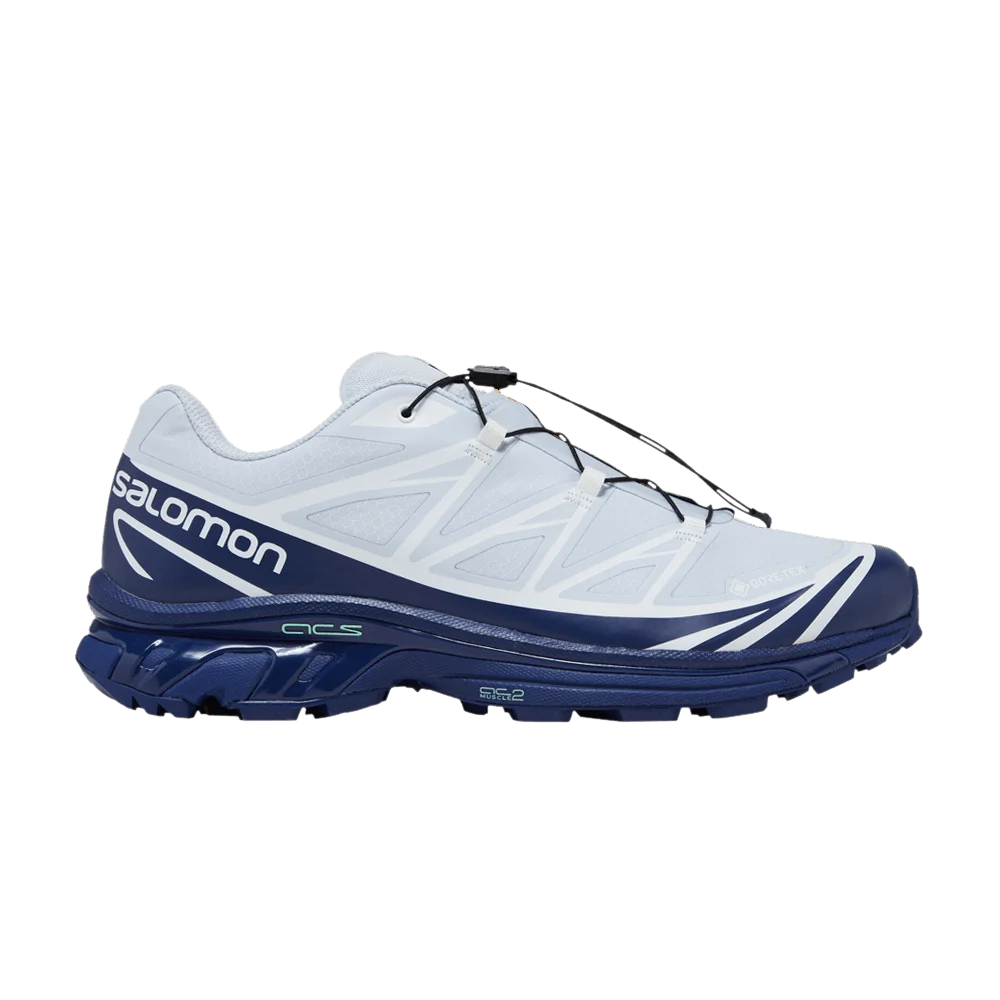 Кроссовки Salomon XT-6 GORE-TEX 'Heather Blue Print'