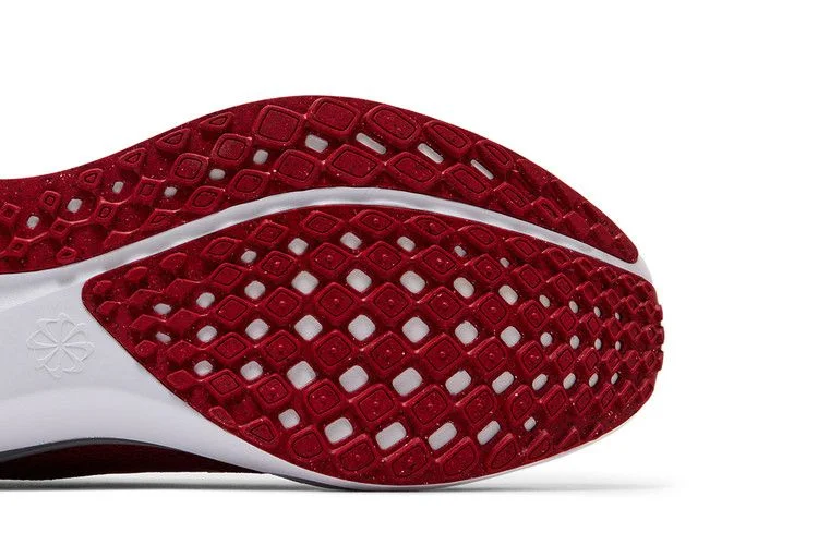 Кроссовки Nike Air Zoom Pegasus 41 'Ohio State'