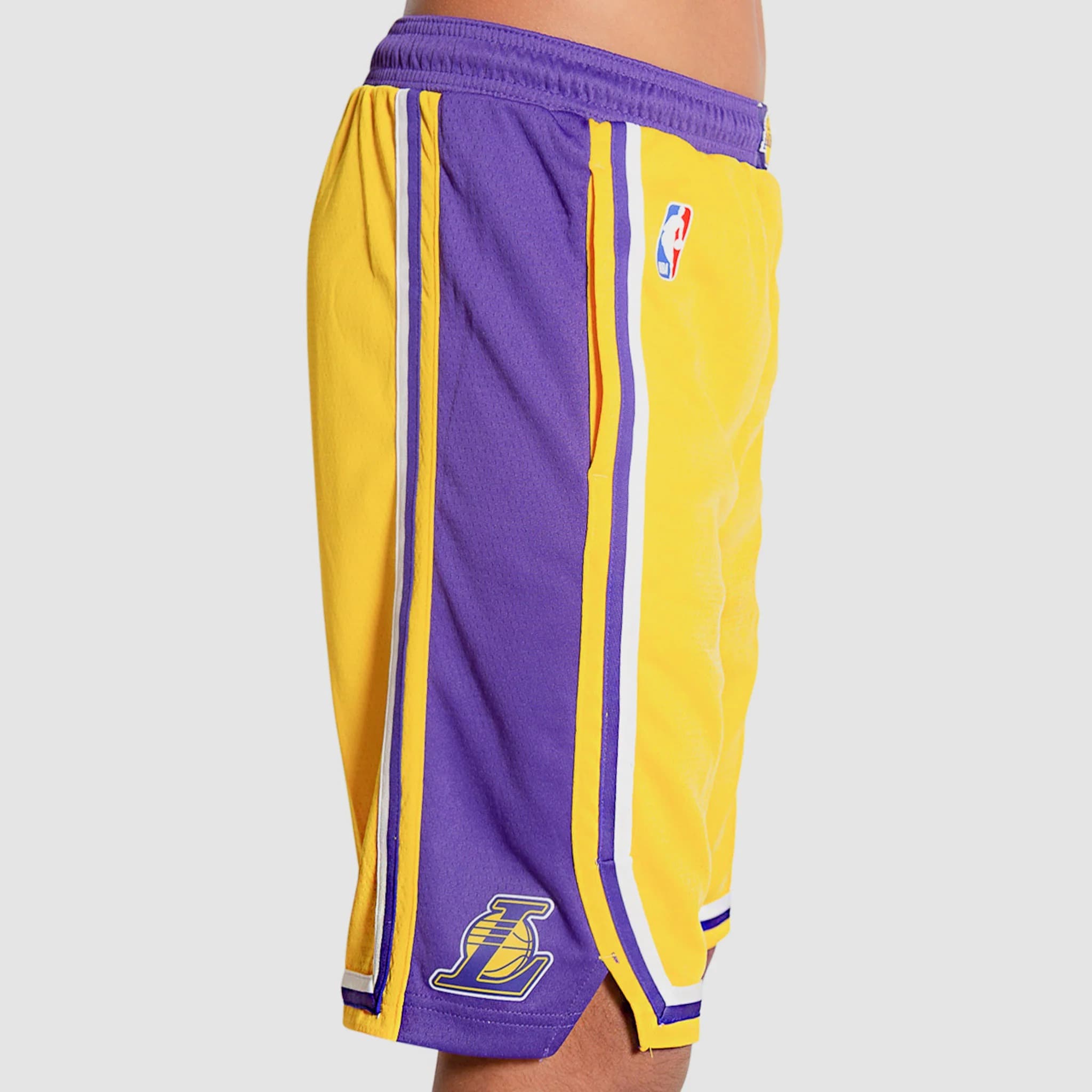 Спортивные шорты Nike Los Angeles Lakers 2024 Icon Edition Swingman Youth NBA Shorts