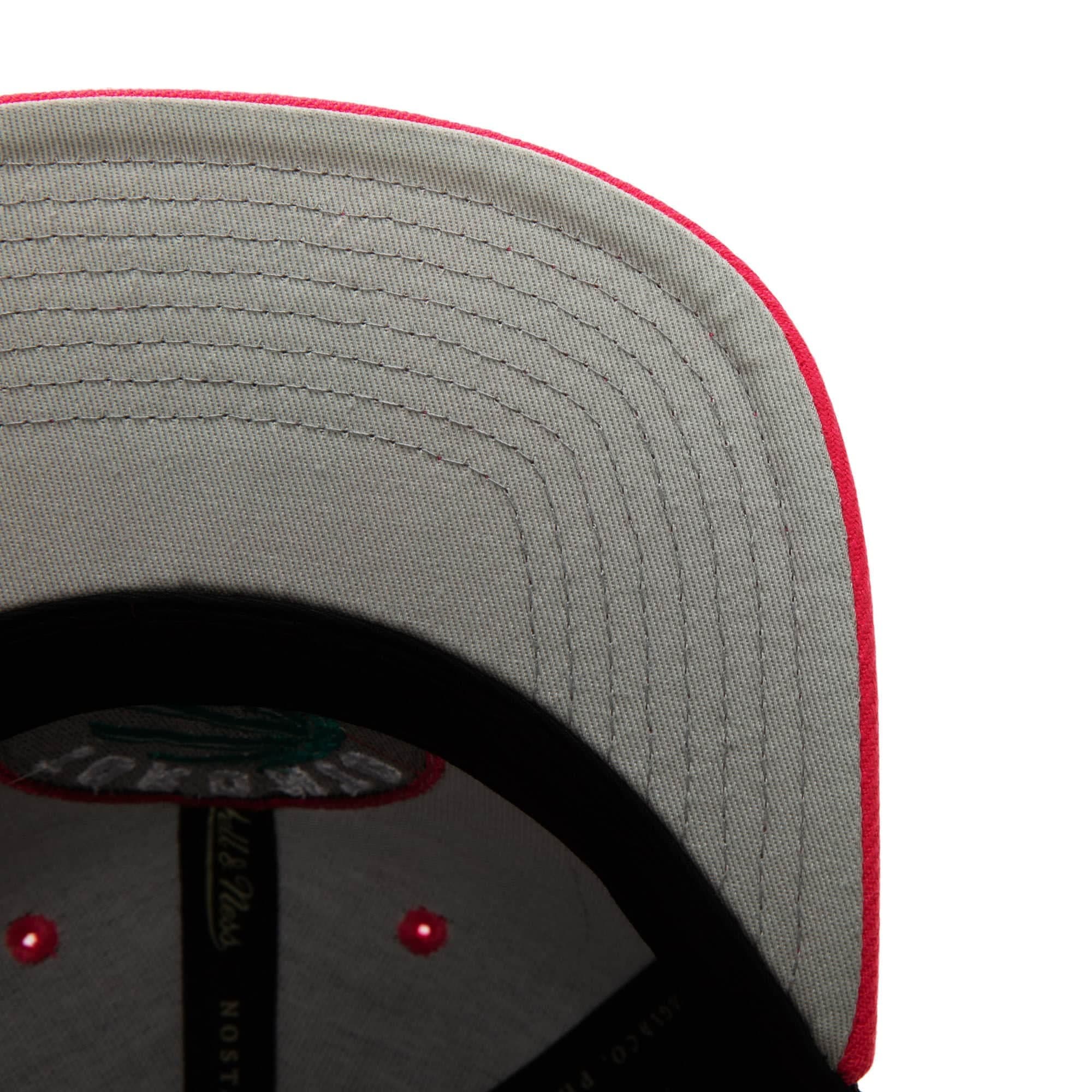 Santa-Ana-2-Tone-Snapback-Boston-Celtics-Hat-2