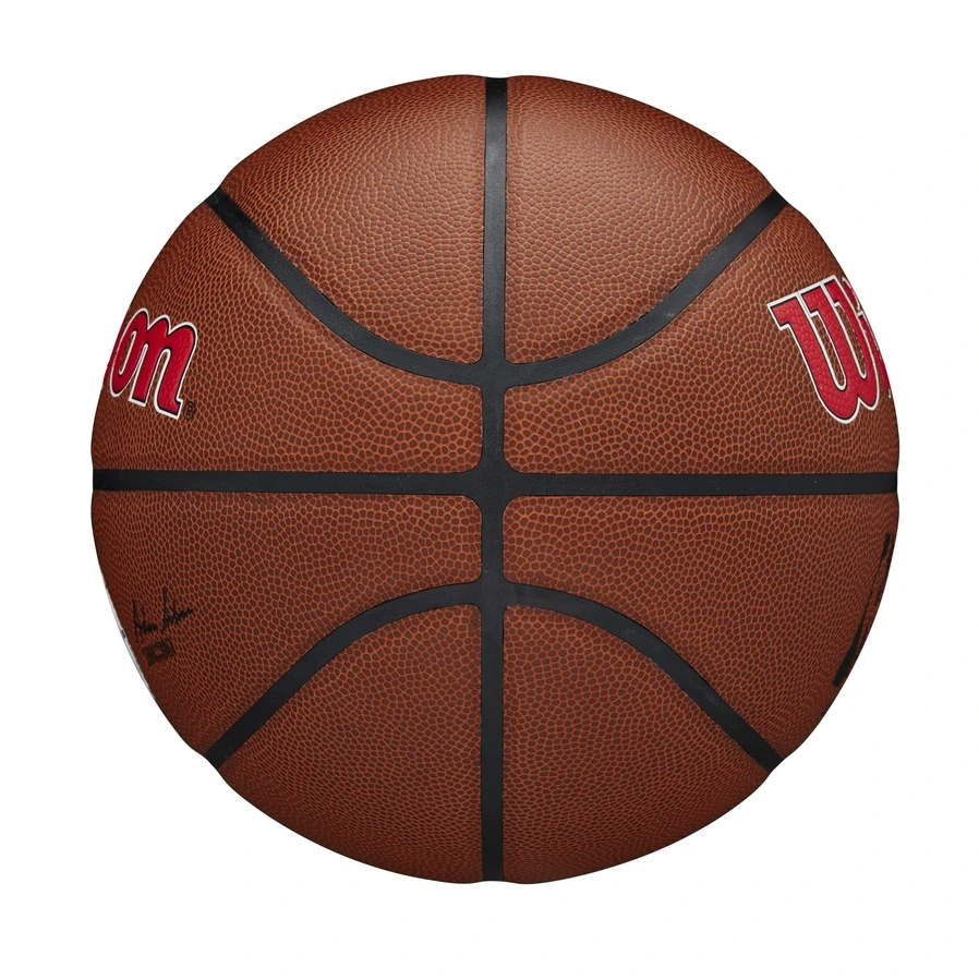 Wilson Los Angeles Clippers Team Alliance NBA Basketball