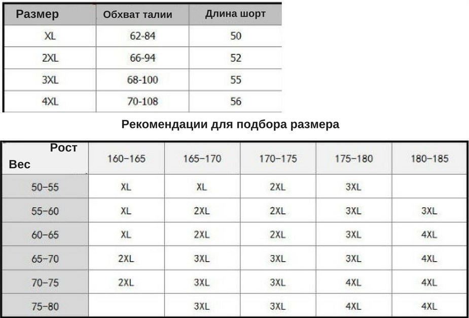 setka-shorty-1
