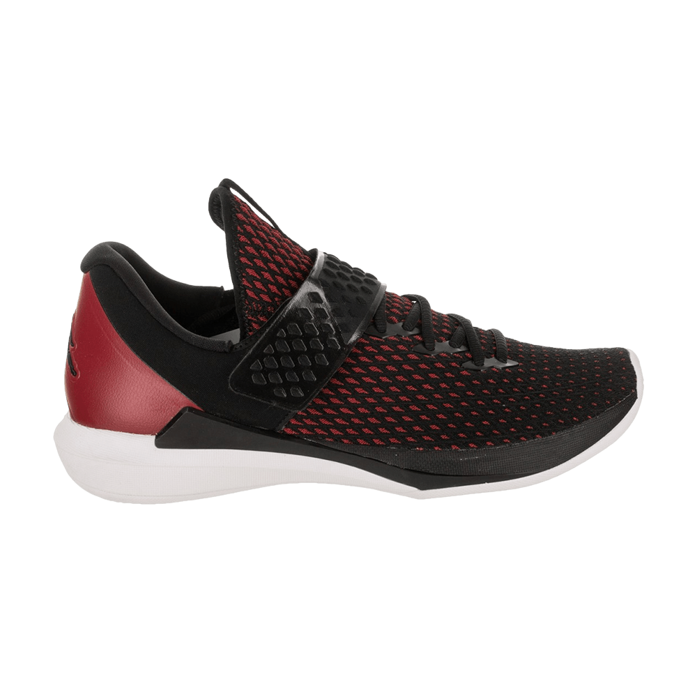 Кроссовки Air Jordan Trainer 3 'Black'