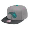 Mitchell-Ness-Grey-Wolf-Mags-Snapback-Orlando-Magic-100x100
