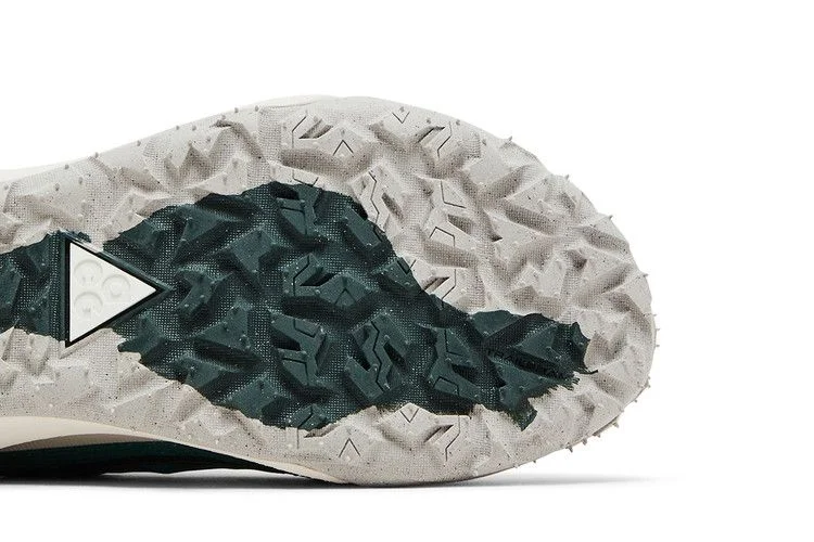 Кроссовки Nike ACG Mountain Fly Low 2 'Bicoastal'