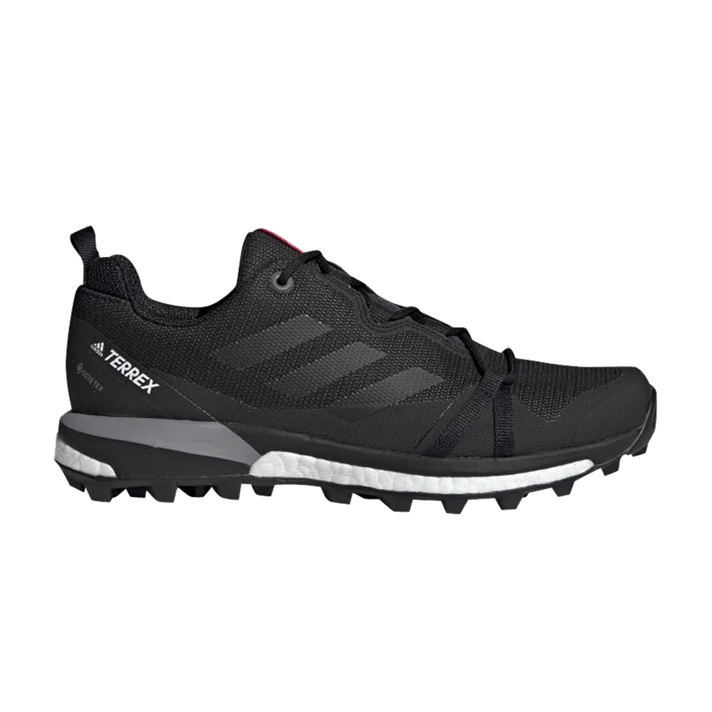 Krossovki-Adidas-Wmns-Terrex-Skychaser-LT-GTX-Carbon