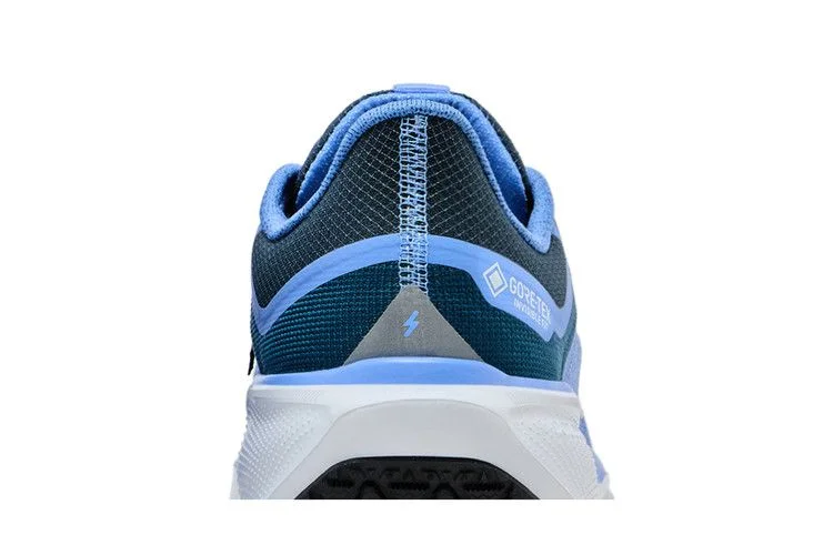 Krossovki-Nike-Wmns-Air-Zoom-Pegasus-41-GORE-TEX-Cobalt-Bliss-6