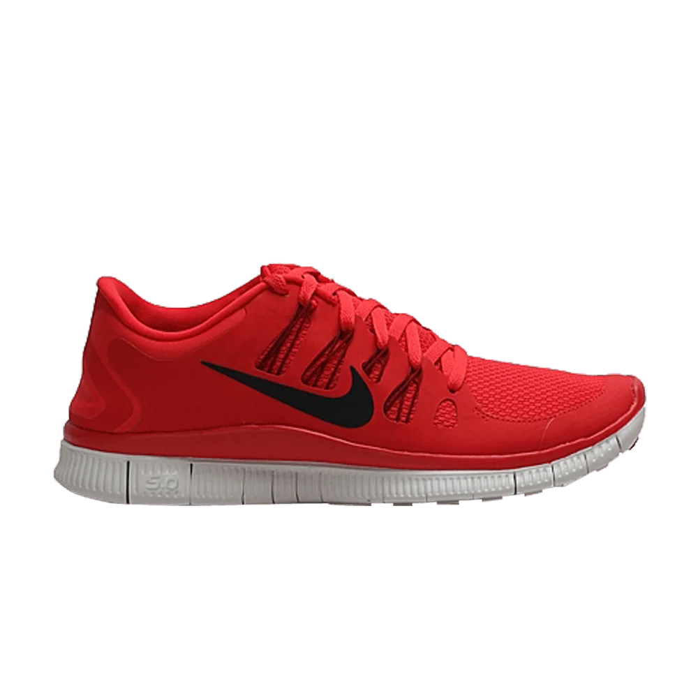 Krossovki-Nike-Free-5.0-1
