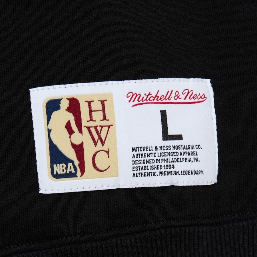 Худи Mitchell & Ness Black Toronto Raptors Tonal Logo Heavyweight Fleece Pullover Hoodie