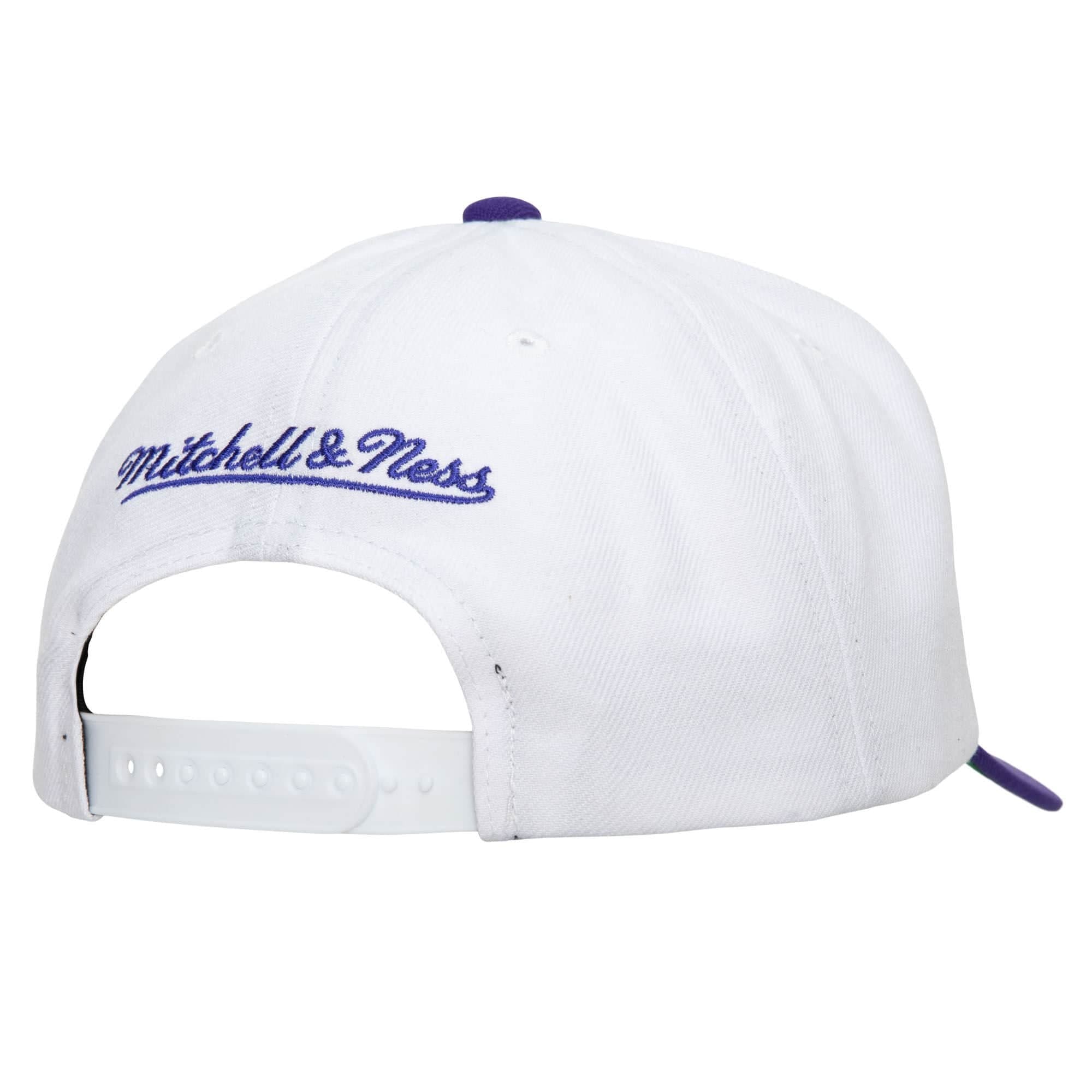 Mitchell-Ness-Team-2-Tone-2.0-Pro-Snapback-HWC-Charlotte-Hornets-Hat-1