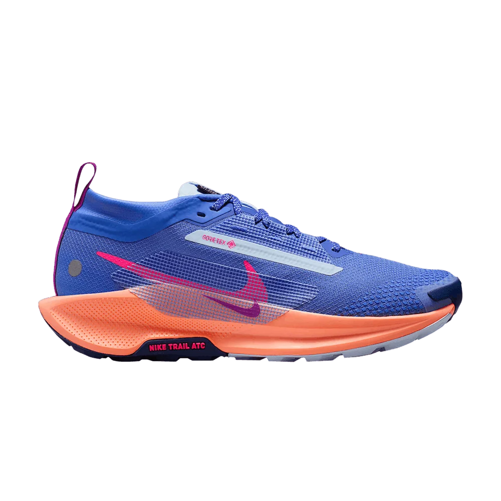Кроссовки Nike Pegasus Trail 5 GORE-TEX 'Sapphire'