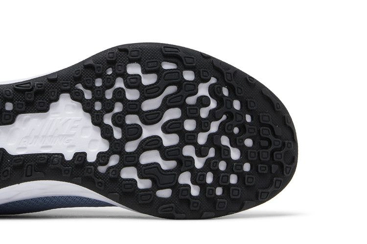 Кроссовки Nike Wmns Revolution 6 Next Nature 'Ashen Slate Doll'