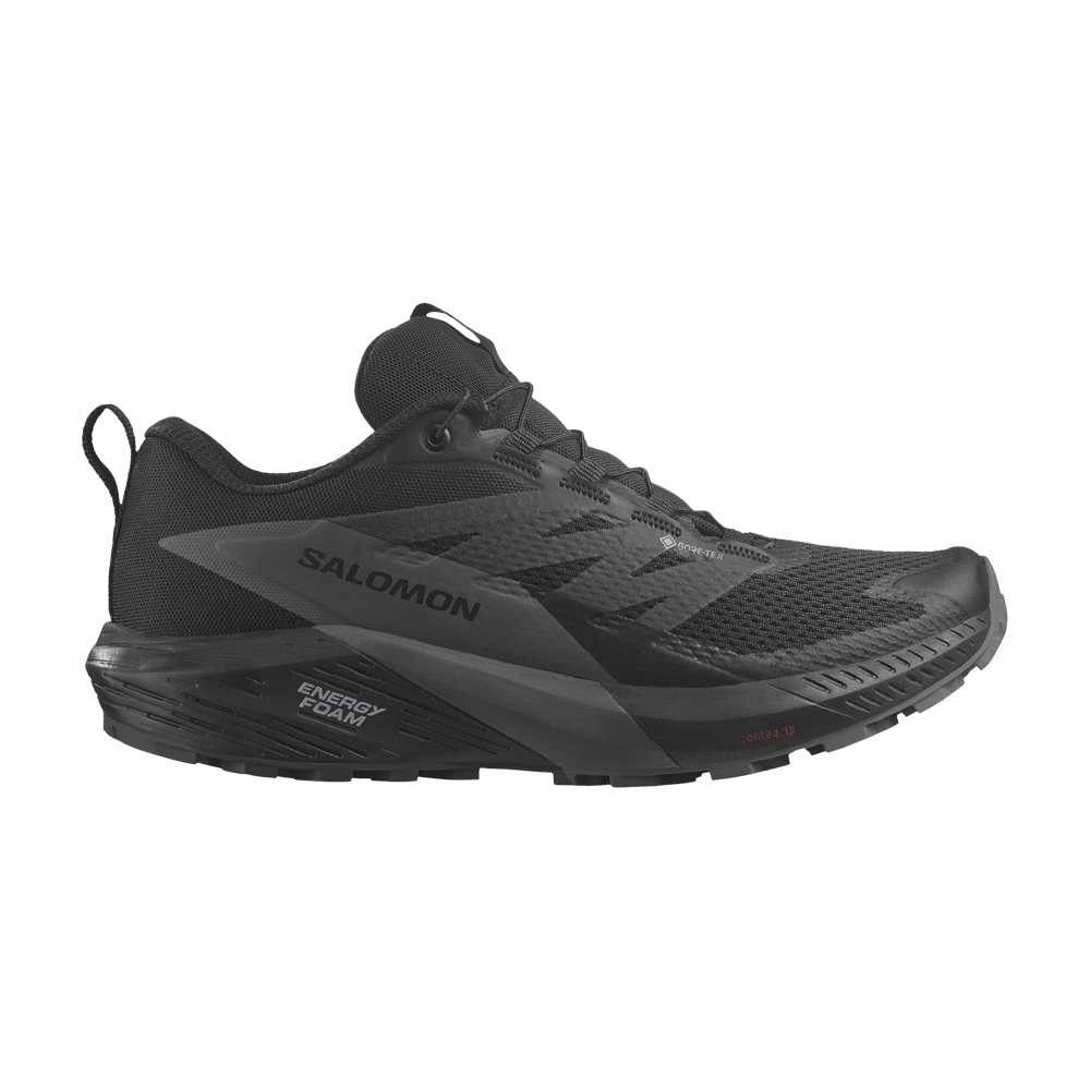 Кроссовки Salomon Wmns Sense Ride 5 GORE-TEX 'Black Magnet'