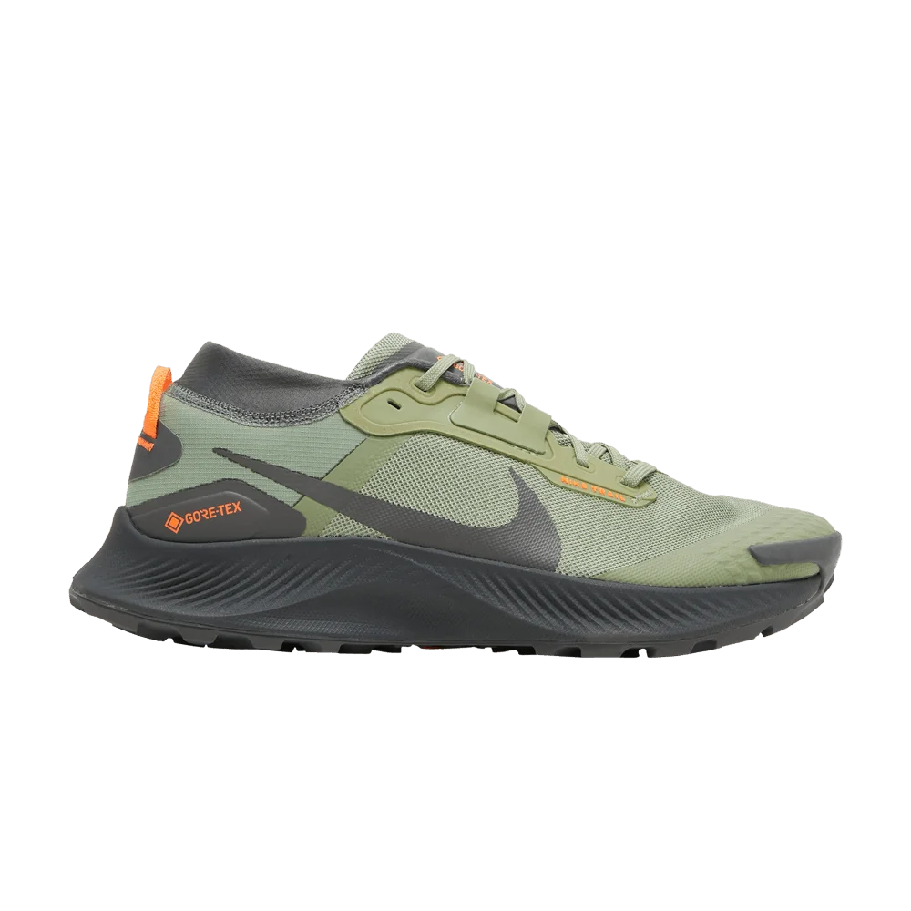 Krossovki-Nike-Pegasus-Trail-3-GTX-Oil-Green