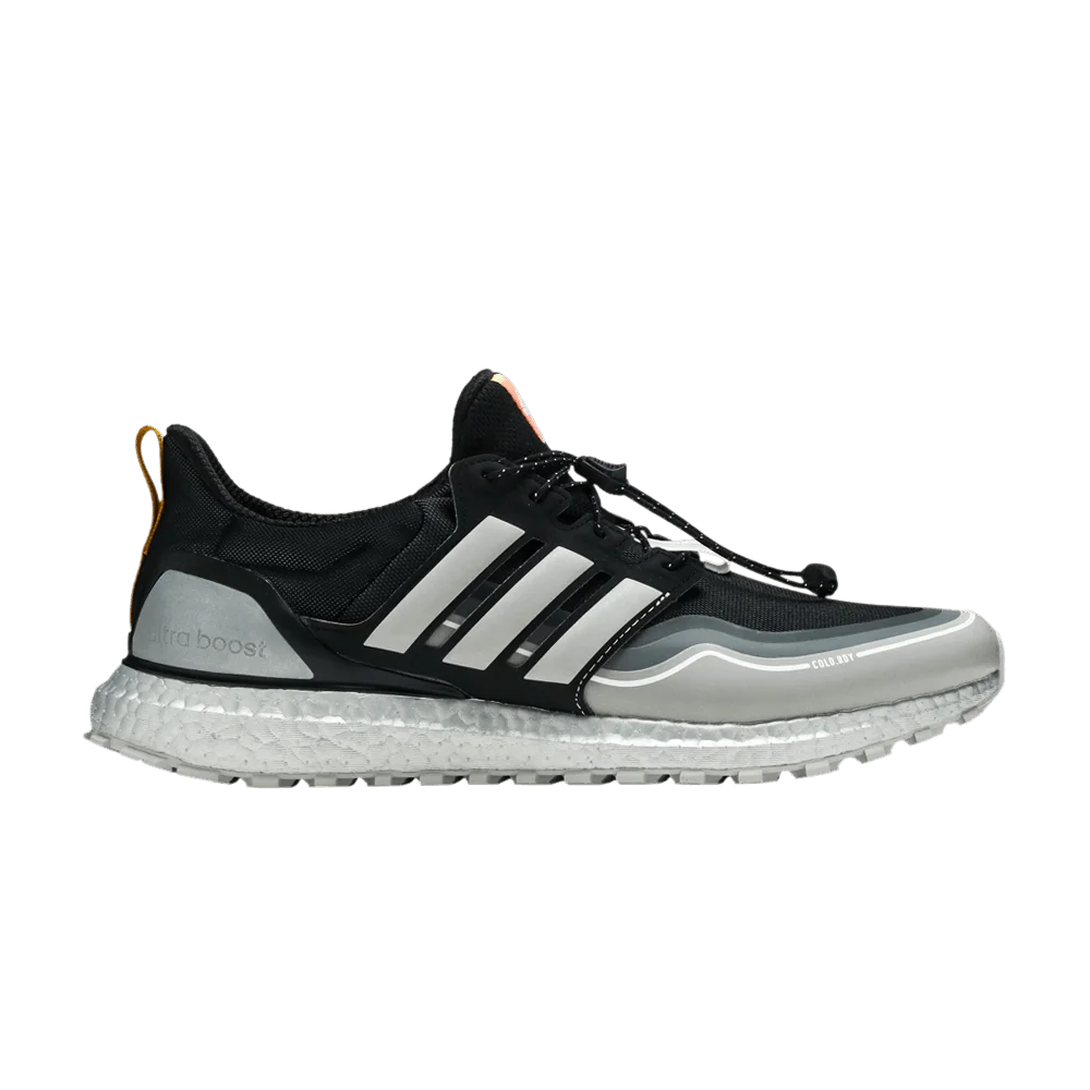 Krossovki-adidas-UltraBoost-Winter.Rdy-DNA-Black-Grey