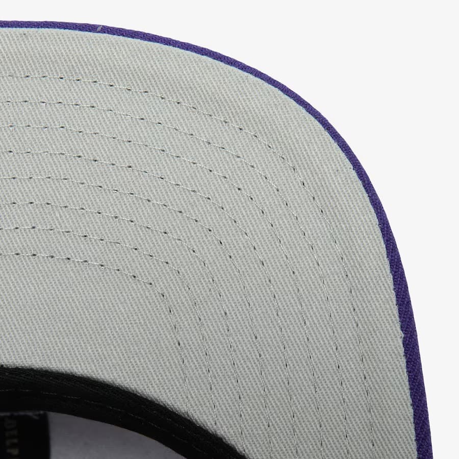 Бейсболка Mitchell & Ness Purple Minnesota Vikings Tapestry Snapback Hat