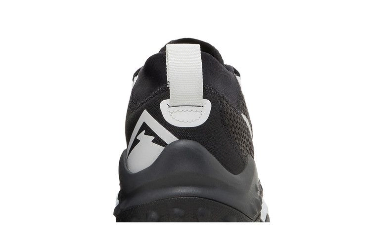 Кроссовки Nike Wmns Wildhorse 7 'Black Pure Platinum'