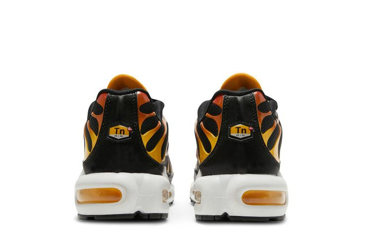 Кроссовки Nike Air Max Plus 'Reverse Sunset'