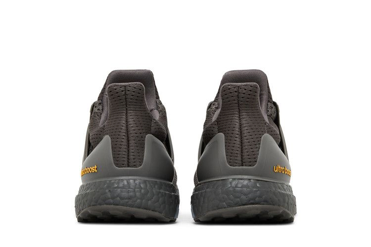 Кроссовки adidas UltraBoost 1.0 'Charcoal Semi Spark'
