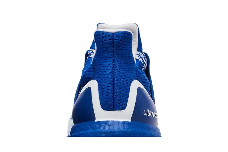 Кроссовки adidas UltraBoost 1.0 'Royal Blue'
