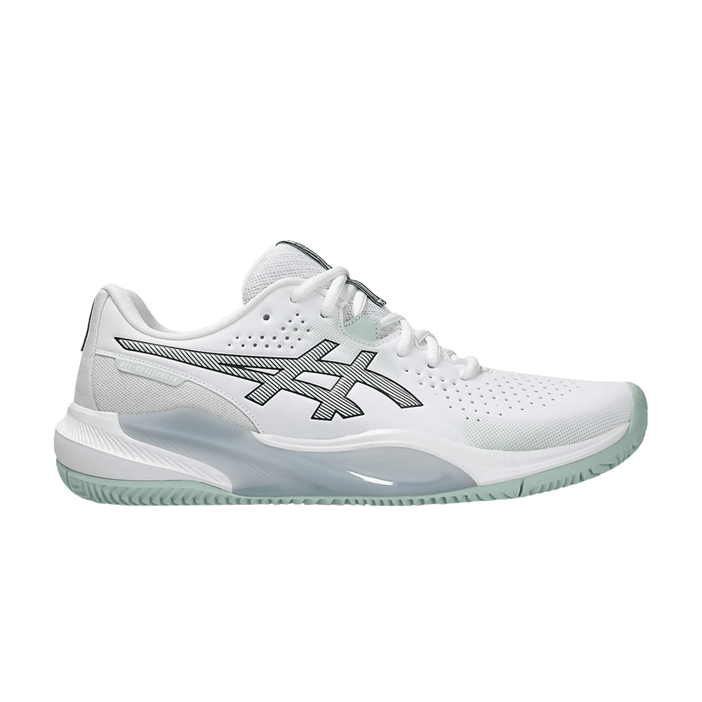 Кроссовки Asics Gel Challenger 15 Clay 'White Lichen Rock'