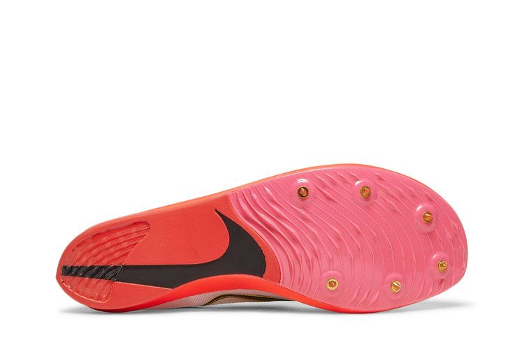 zoomx-dragonfly-rawdacious-dj5255-100_03