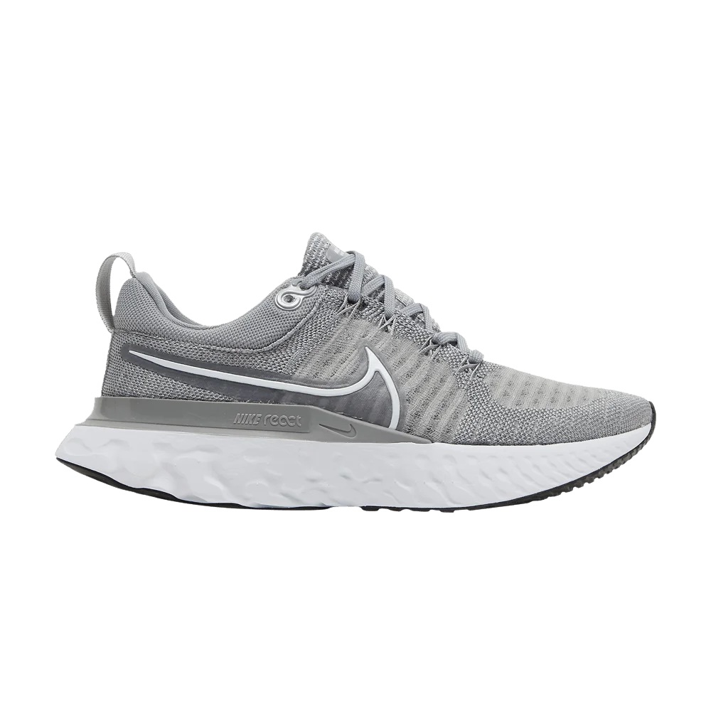 Krossovki-Nike-Wmns-React-Infinity-Run-Flyknit-2-Particle-Grey