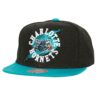 Mitchell-Ness-Circle-Splash-Snapback-HWC-Charlotte-Hornets-Hat-100x100