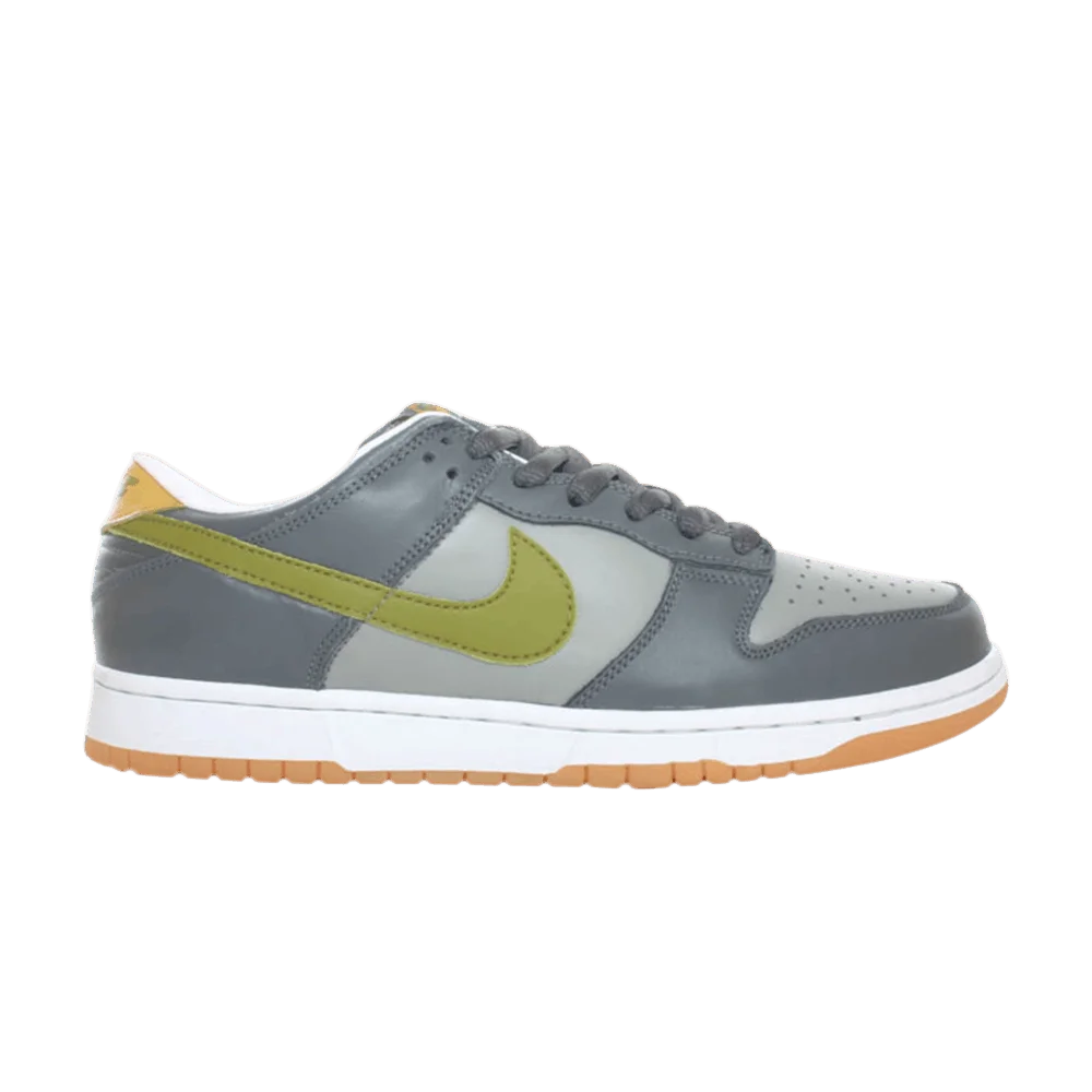 Krossovki-Nike-Dunk-Low-Pro-B-Graphite
