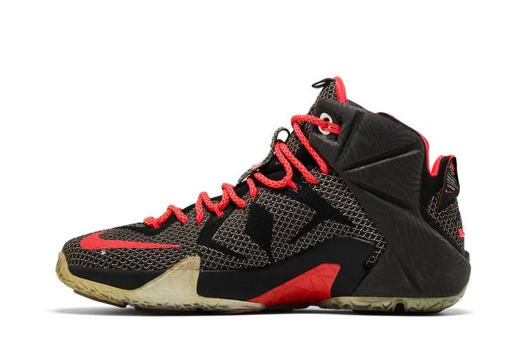 Кроссовки Nike LeBron 12 'Court Vision'