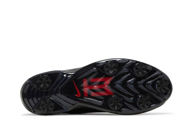 Кроссовки Nike Air Zoom Tiger Woods '20 'Black'
