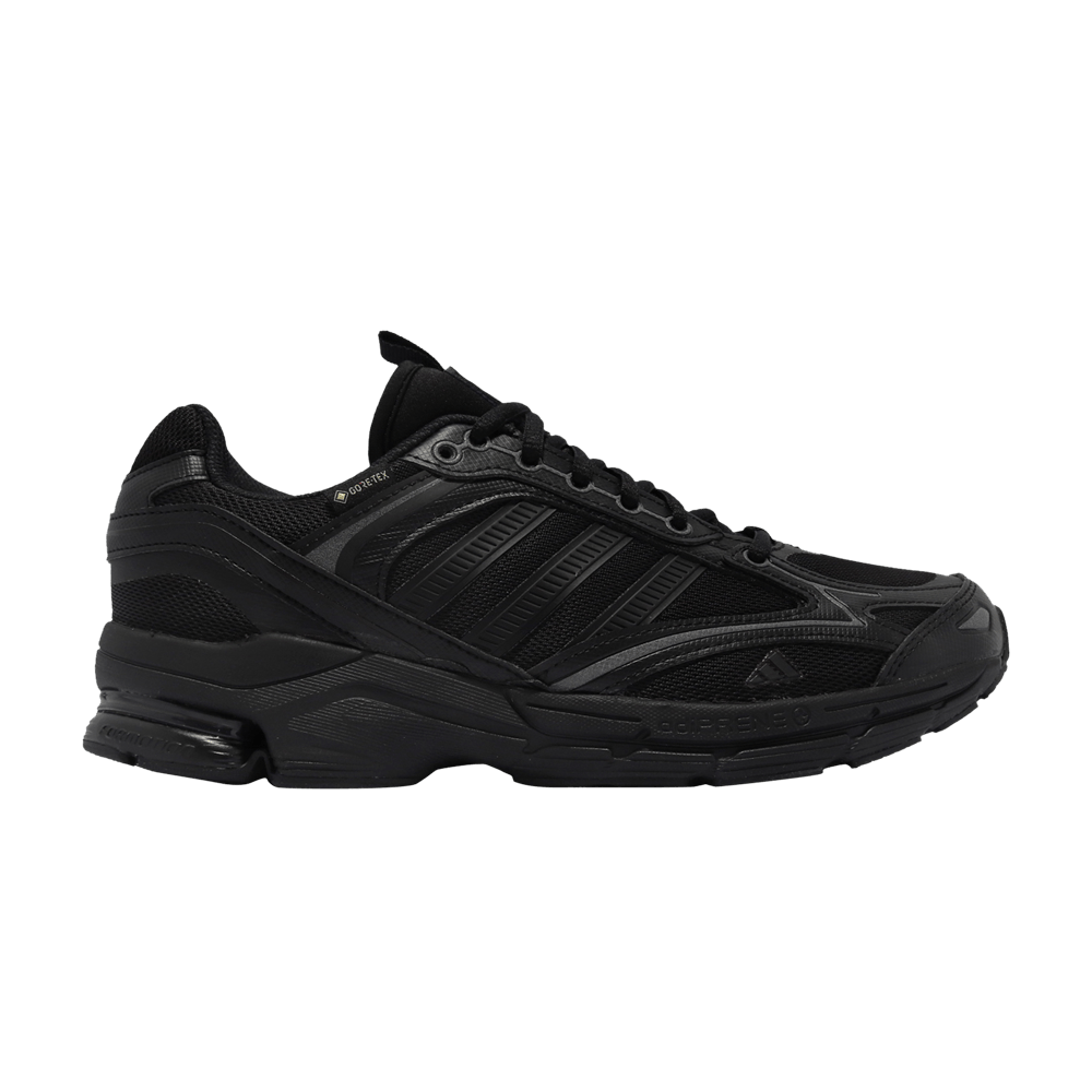 Кроссовки adidas Spiritain 2000 GTX 'Triple Black'