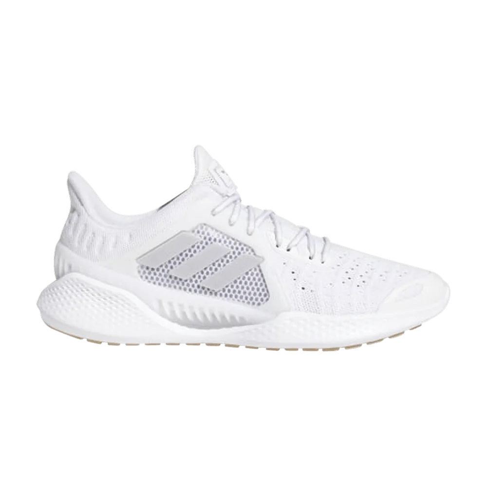 Krossovki-Adidas-Climacool-Vent-Summer.Rdy-White-Light-Solid-Grey