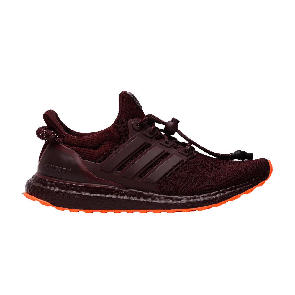 Krossovki-Ivy-Park-x-adidas-UltraBoost-Maroon