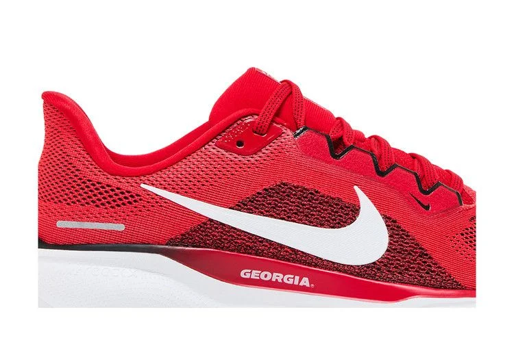 Кроссовки Nike Air Zoom Pegasus 41 'Georgia 2024'