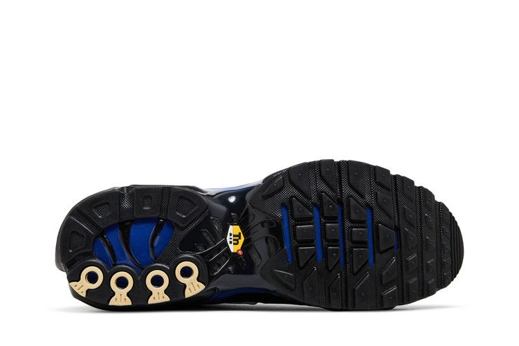 Кроссовки Nike Air Max Plus Premium 'Black Racer Blue'