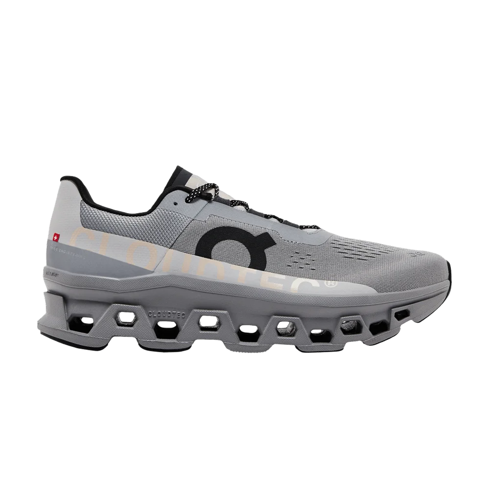 Krossovki-Cloudmonster-Alloy-Silver